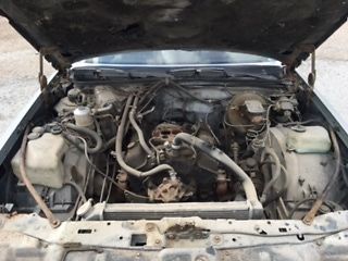 1981 Pontiac Grand Prix - photo 6