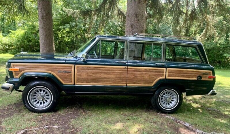 1991 Jeep Wagoneer - photo 10