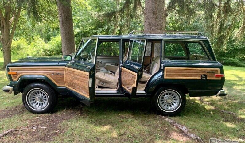 1991 Jeep Wagoneer - photo 12