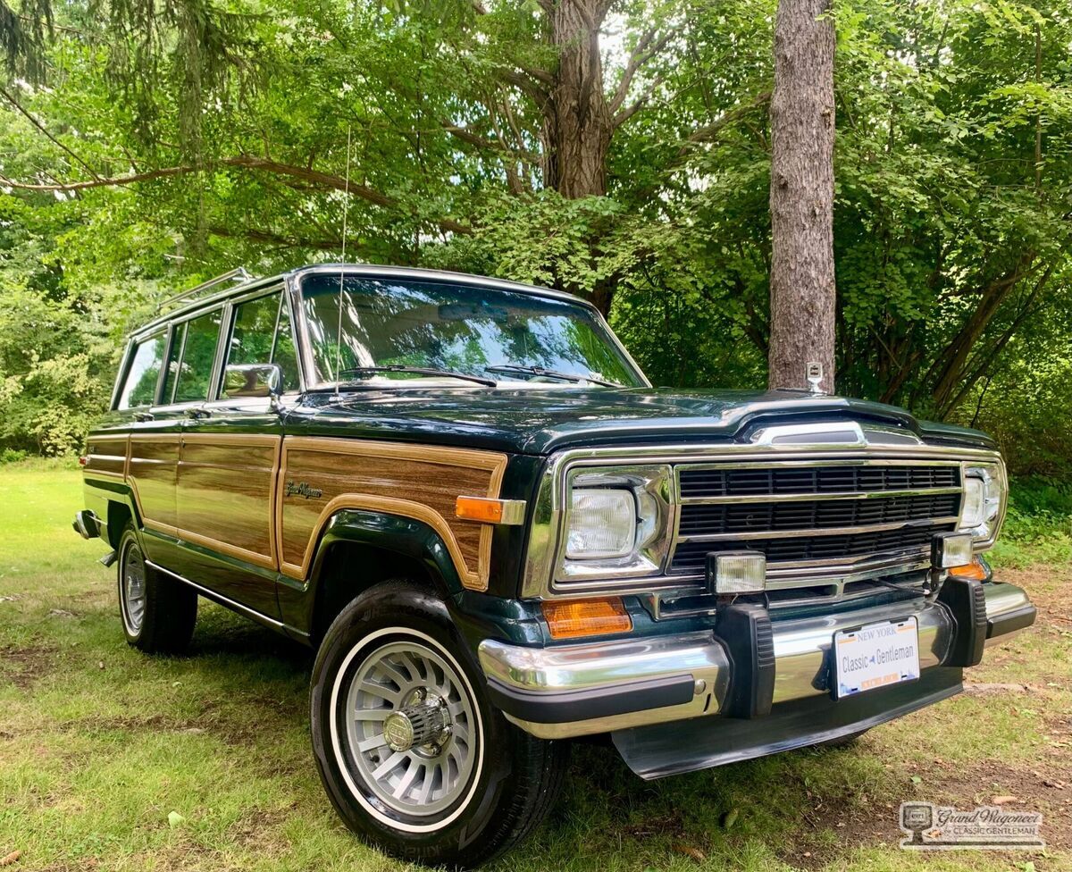 1991 Jeep Wagoneer - photo 2