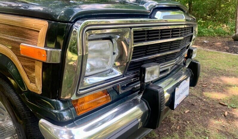 1991 Jeep Wagoneer - photo 5