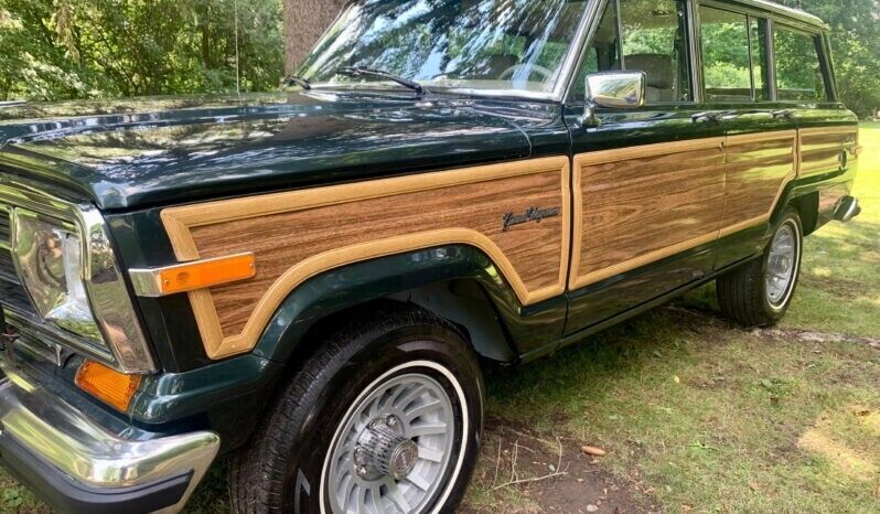 1991 Jeep Wagoneer - photo 8
