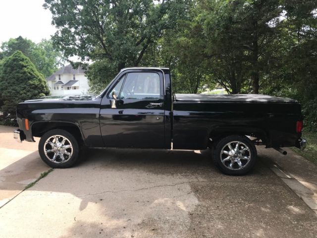 1978 GMC Sierra 1500 Sierra - photo 2