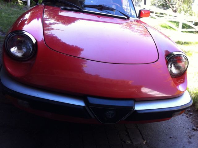 1983 Alfa Romeo Spider - photo 4
