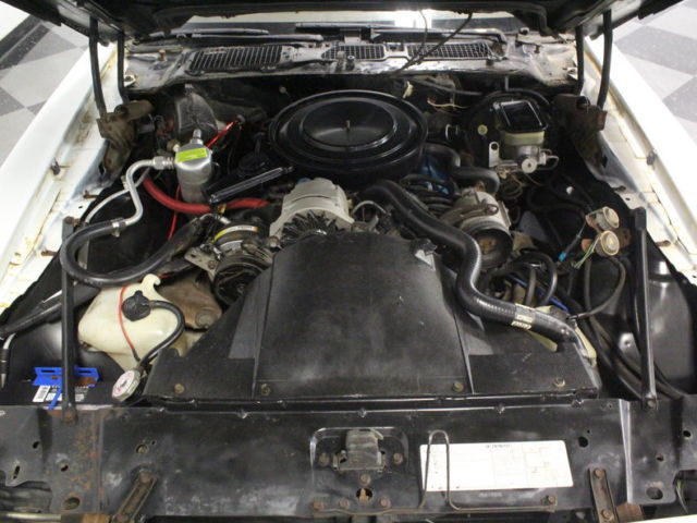 1981 Pontiac Firebird Esprit - photo 3