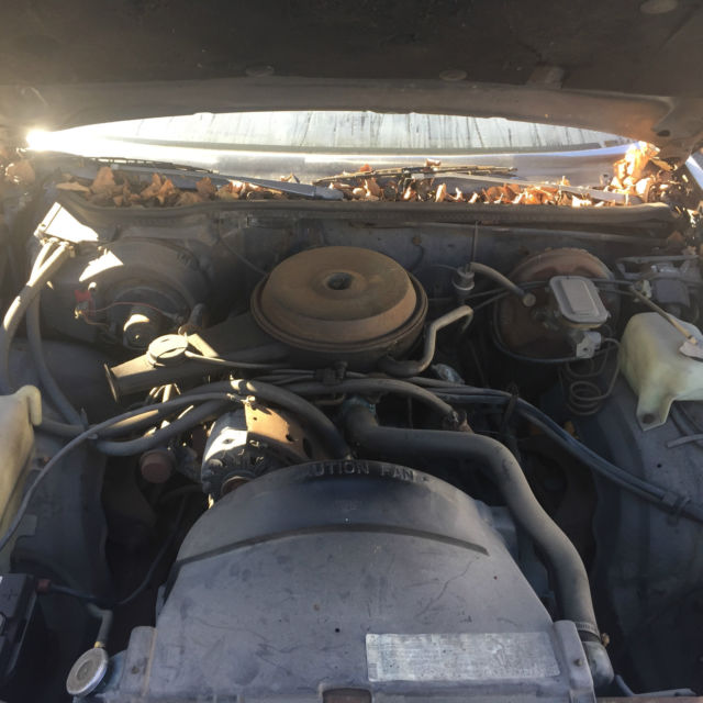 1980 Chevrolet Malibu Classic Coupe 2-Door - photo 7