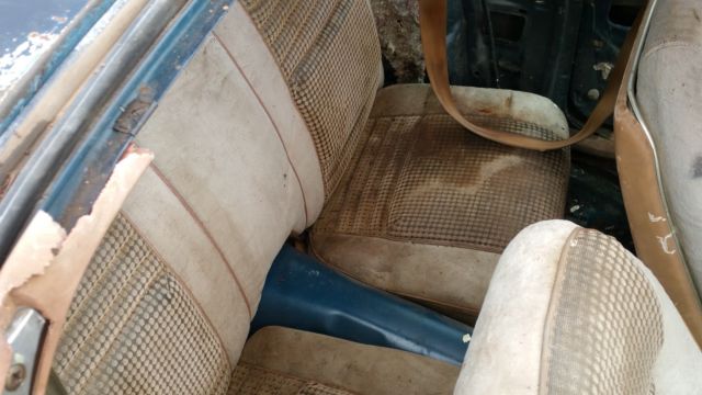 1979 Pontiac Firebird Trans AM - photo 11