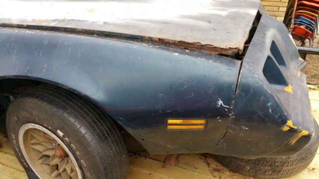 1979 Pontiac Firebird Trans AM - photo 2