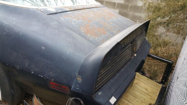 1979 Pontiac Firebird Trans AM - photo 9