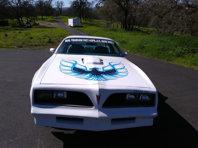 1978 Pontiac Firebird Two door coup - photo 10