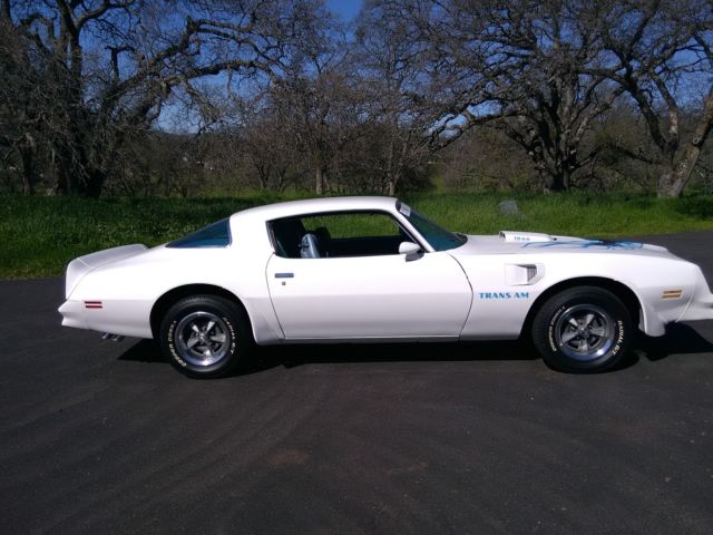 1978 Pontiac Firebird Two door coup - photo 2