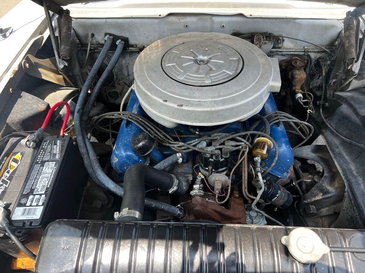 1959 Edsel Villager - photo 12