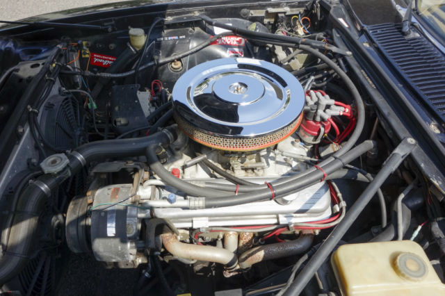 1992 Jaguar XJS - photo 9