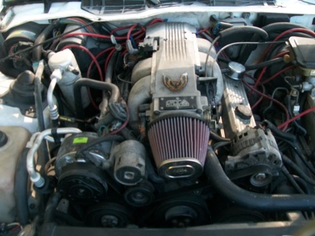 1991 Pontiac Trans Am GTA - photo 6