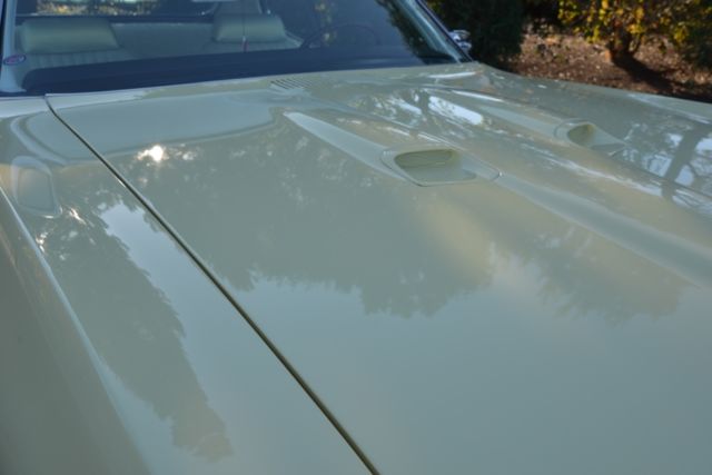 1969 Pontiac GTO BASE COUPE NO RESERVE - photo 12