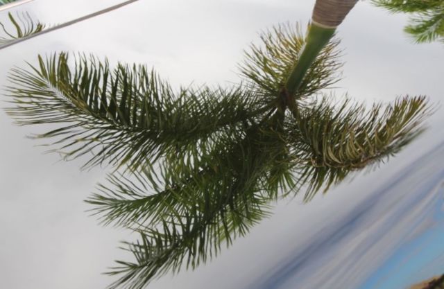 1969 Pontiac GTO Coupe 2 Door - photo 5