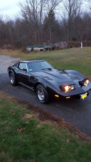 1975 Chevrolet Corvette Rally Sport - photo 2