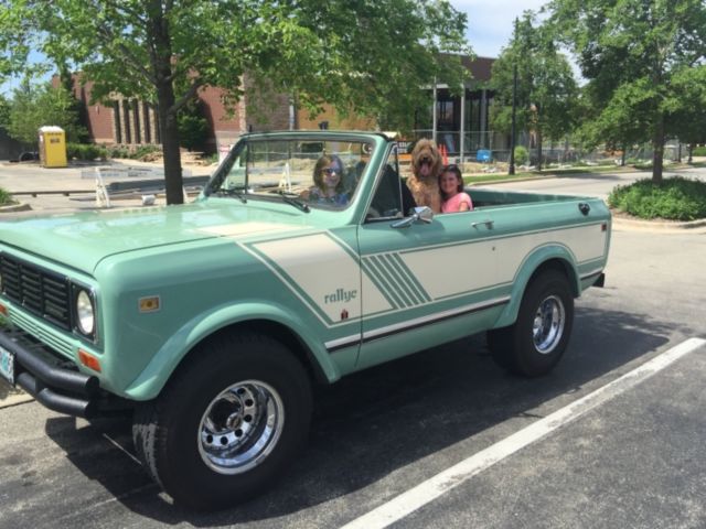 1979 International Harvester Scout Ralley trim - photo 13