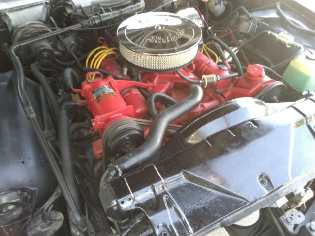 1966 Buick Skylark Wildcat - photo 13