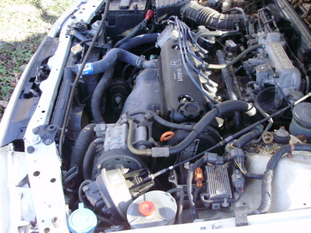 1993 Honda Accord 10th Anniverary Edition - photo 10
