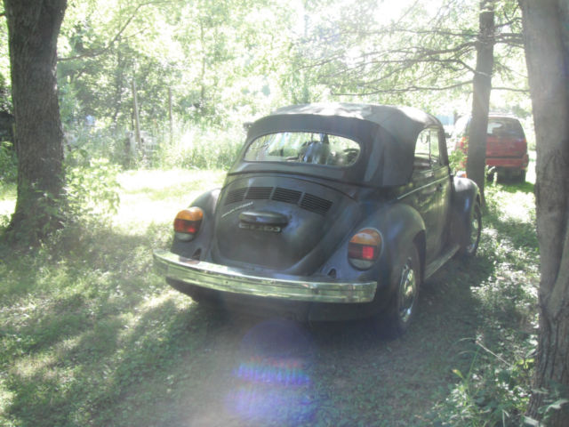1979 Volkswagen Beetle - Classic Convertible Deluxe Edition - photo 3