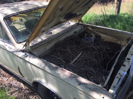 1967 Plymouth Barracuda - photo 6
