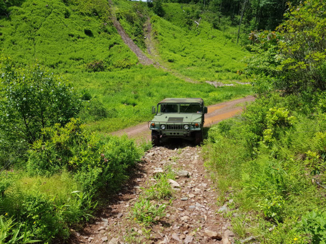 1994 Hummer H1 - photo 6