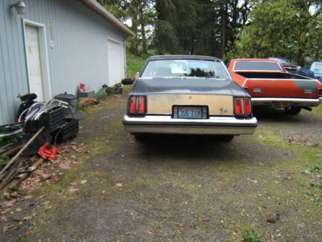 1979 Oldsmobile Cutlass - photo 3