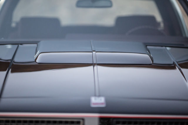 1983 Oldsmobile Cutlass 15 year Anniversary - photo 13