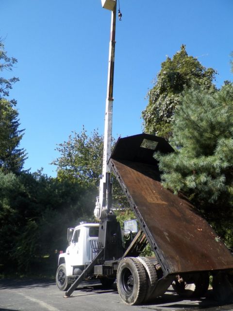1982 International Harvester s 1900 crane , dump, bucket truck - photo 5