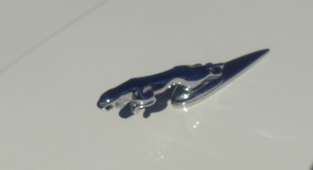 1990 Jaguar XJS - photo 5