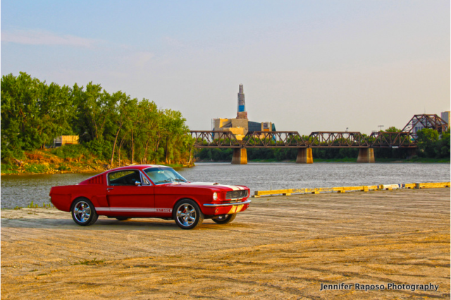 Immaculately Restored 1966 Mustang Fastback - Shelby GT350 1966 Ford Mustang