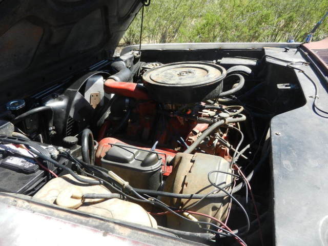 1978 International Harvester Scout Traveler - photo 7