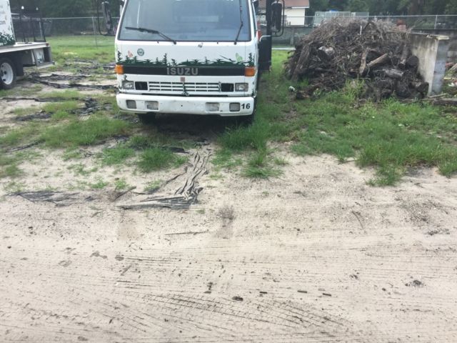 1994 Isuzu Other Landscape Body - photo 3