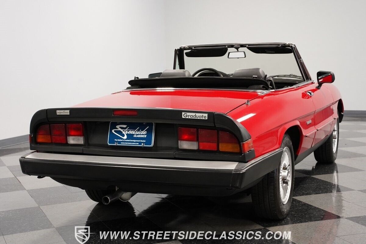 1990 Alfa Romeo Spider - photo 12