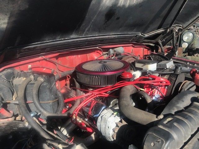 1983 Jeep J10 - photo 4