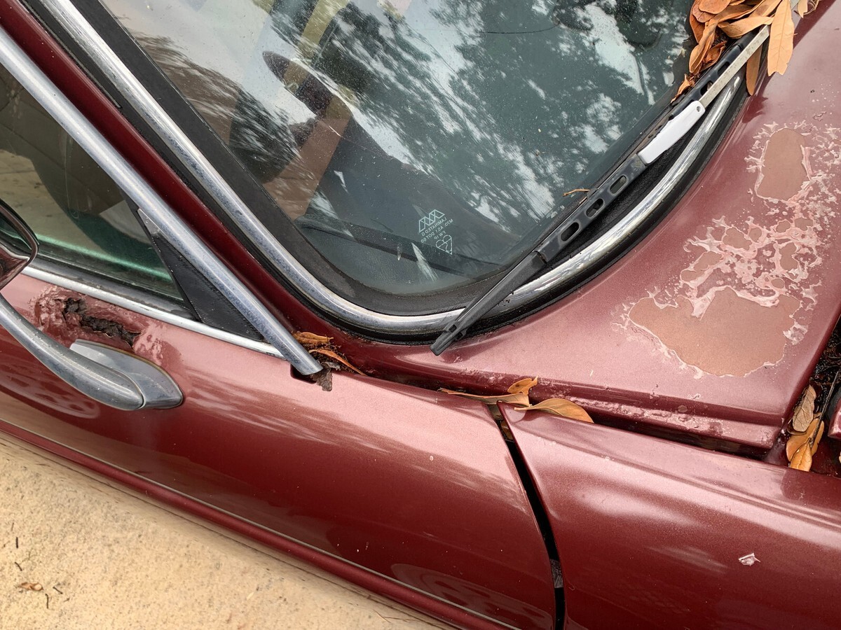 1977 Jaguar Daimler Double-Six Coupe - photo 12