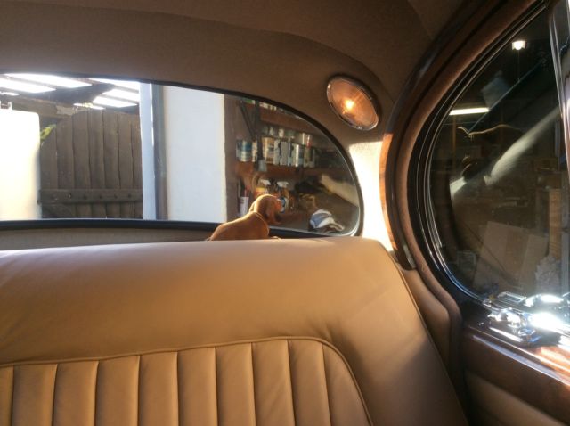 1962 Jaguar MK2 3.8 manual Chrome - photo 13