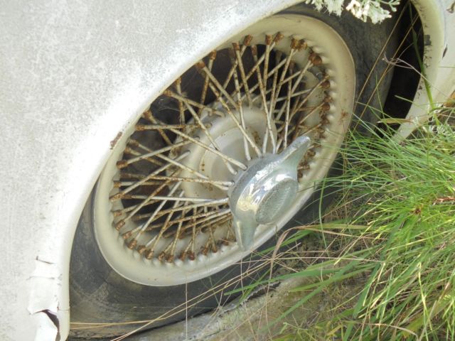 1962 Jaguar Other - photo 13