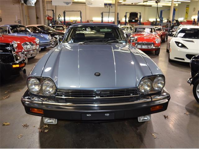 1988 Jaguar XJS-C -- - photo 2