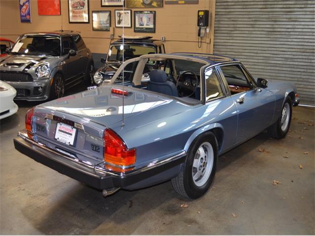 1988 Jaguar XJS-C -- - photo 8