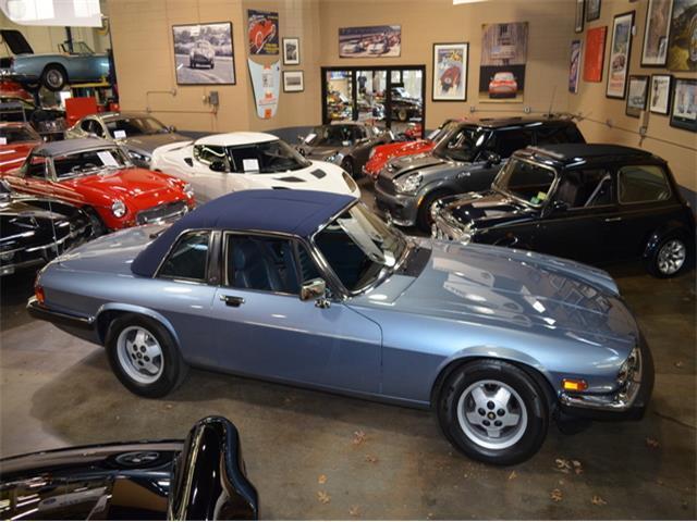 1988 Jaguar XJS-C -- - photo 9