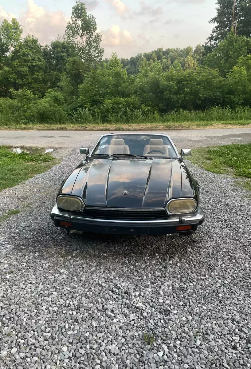Jaguar XJS cabriolet convertible! 1993 Jaguar XJS