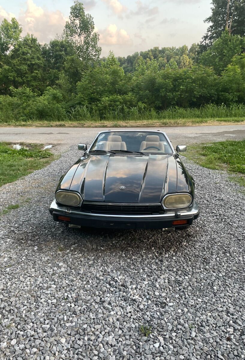 1993 Jaguar XJS - photo 7