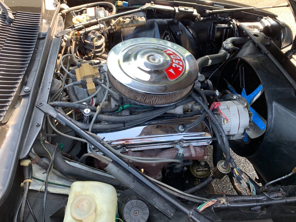 1987 Jaguar XJS - photo 4