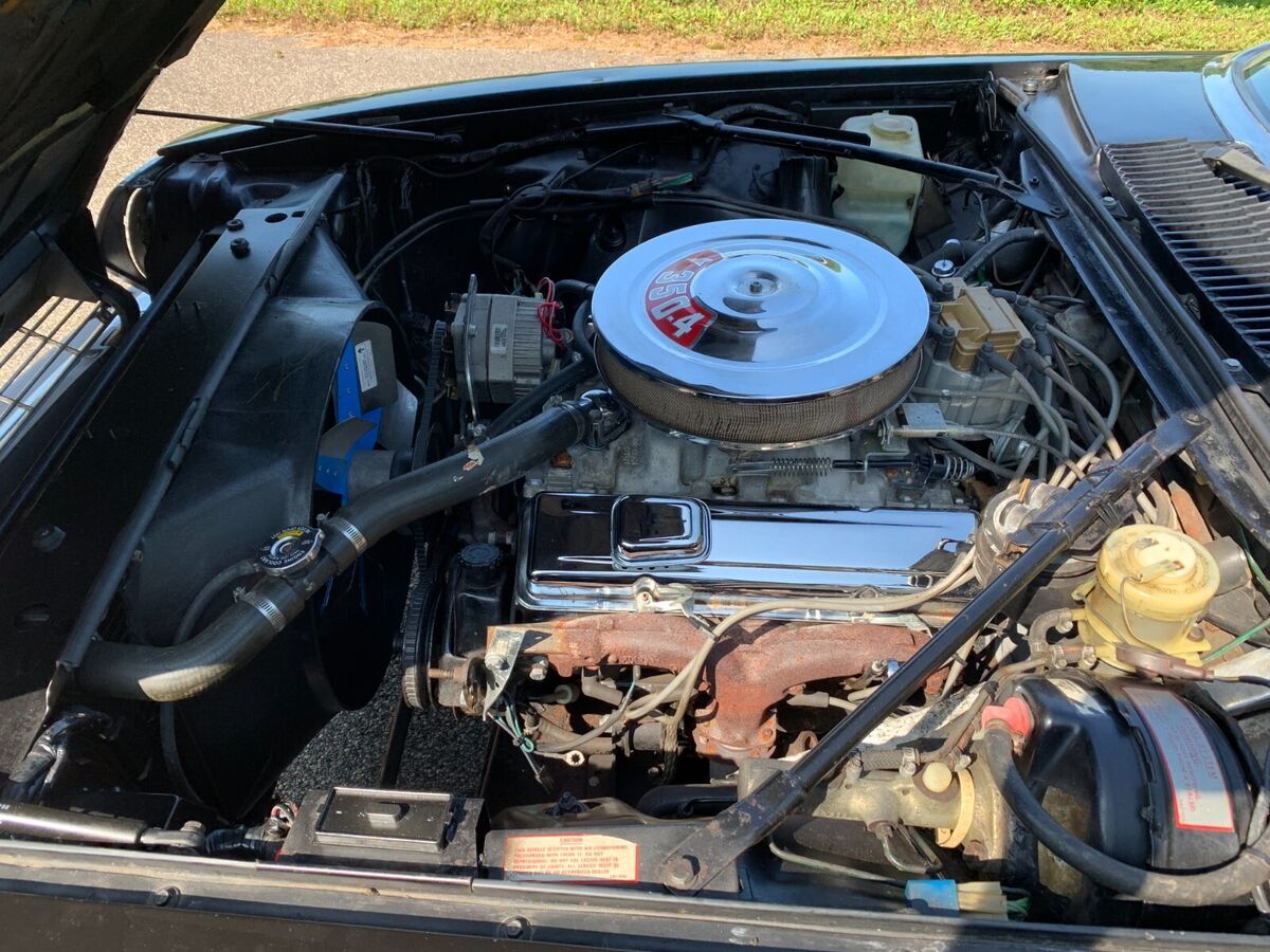 1987 Jaguar XJS - photo 5