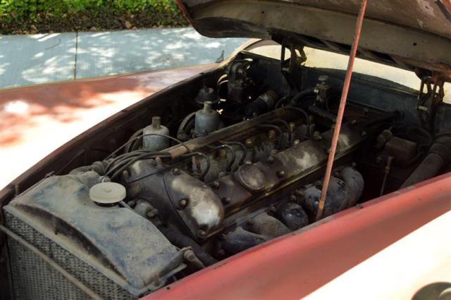 1953 Jaguar XK - photo 9