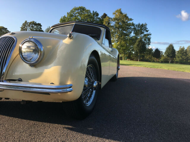 1953 Jaguar XK - photo 10