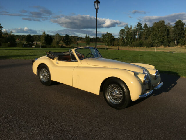 1953 Jaguar XK - photo 2