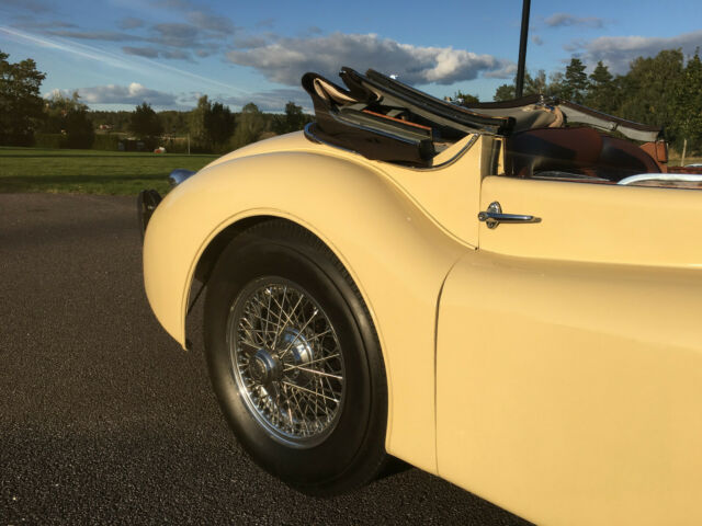 1953 Jaguar XK - photo 5